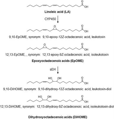 Plasma Linoleate Diols Are Potential Biomarkers for Severe COVID-19 Infections